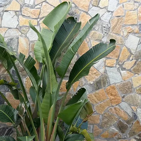 Vivenda Dos Duartes